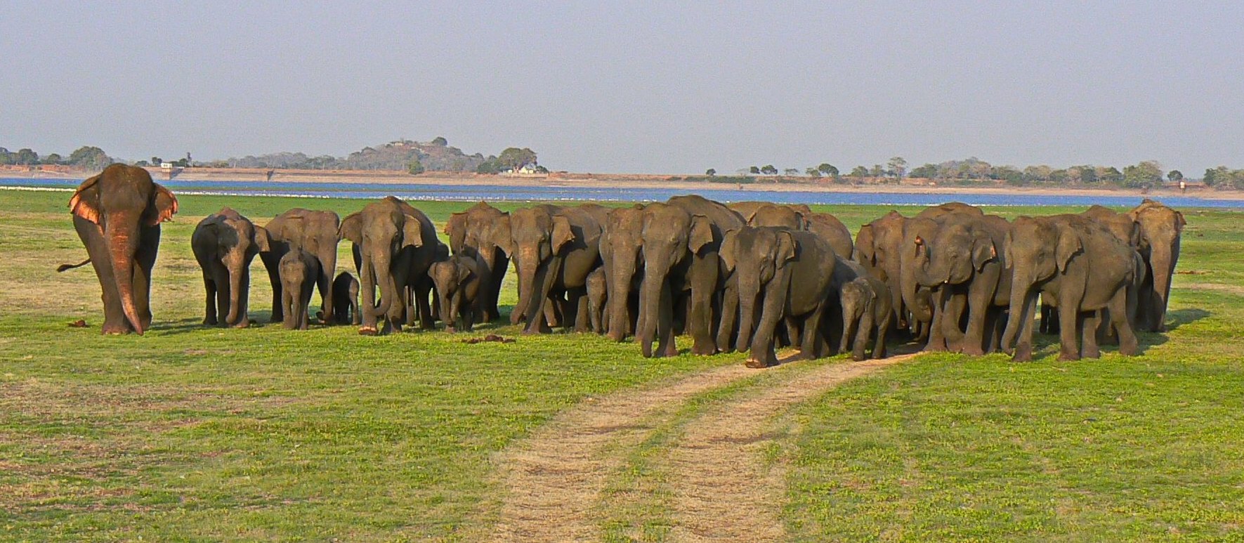 Gathering